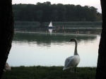 091011na_spacerze_z_mama10.jpg