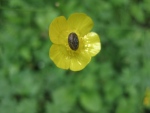 102605img_0004.jpg