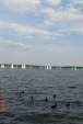 110653dsc07961.jpg