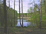 153428pic_0020s.jpg