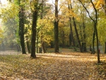 154526img_3499.jpg