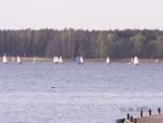 1615522007-05-09_050.jpg
