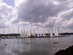184556pict0019.jpg