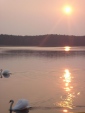 225602dsc00611a.jpg