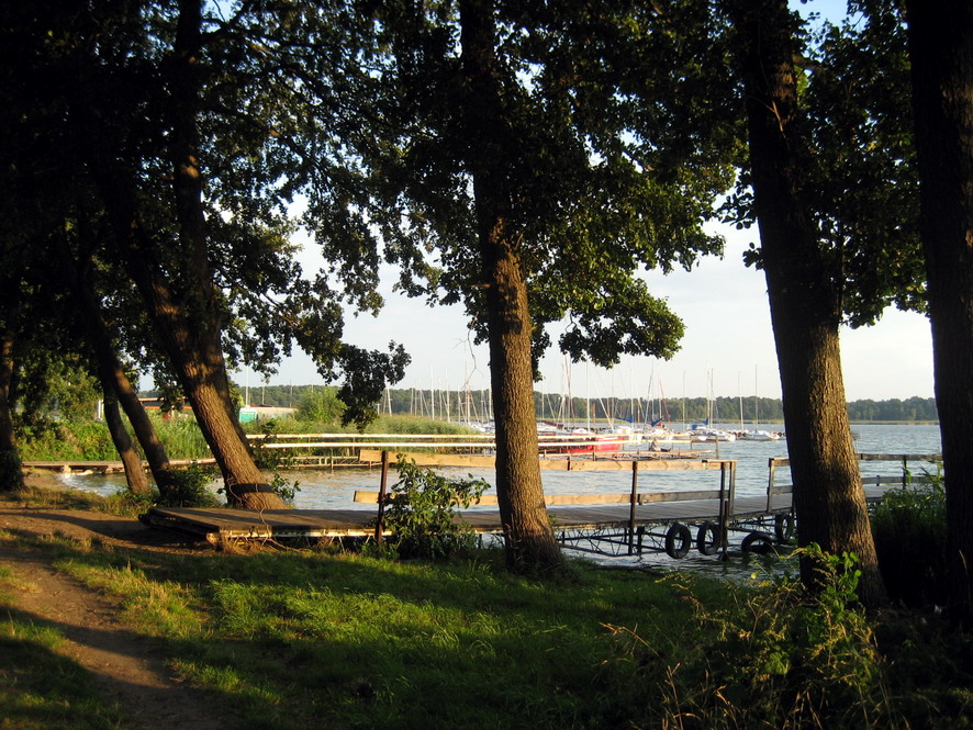 090623na_spacerze_z_mama5.jpg