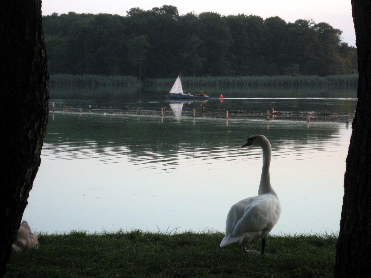 091011na_spacerze_z_mama10.jpg