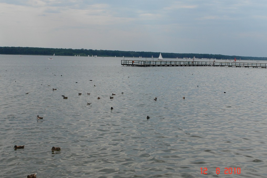 110516dsc07939.jpg