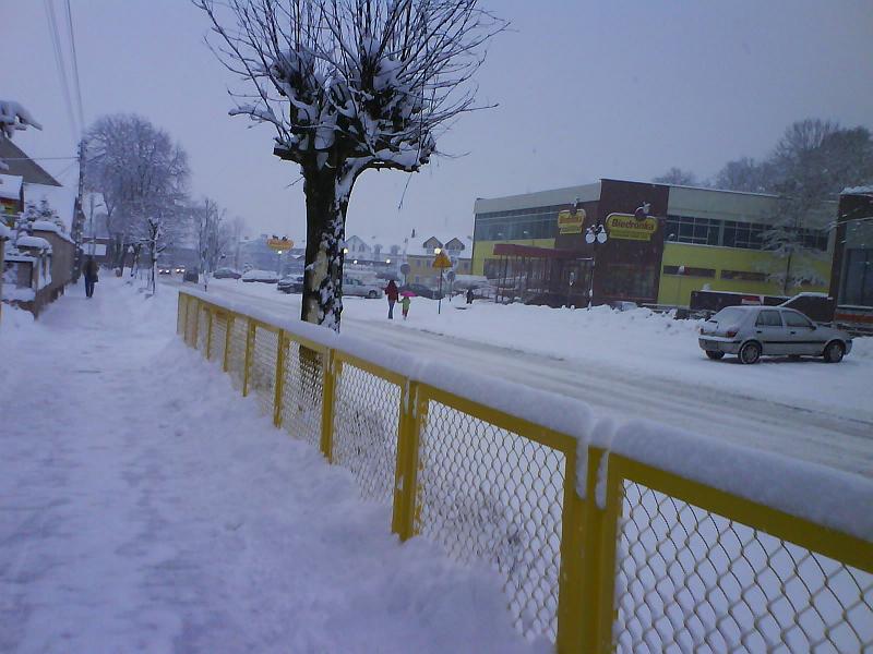 135755dsc00425.jpg