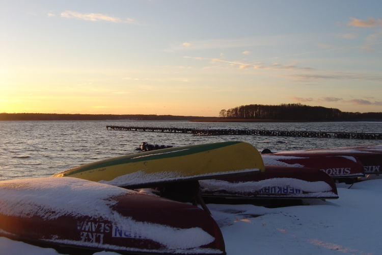 204314dsc08459.jpg